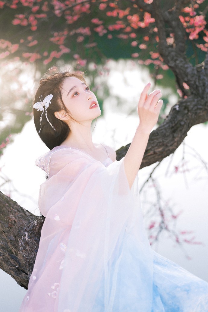 绝命毒师 封面